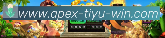 奖项证书